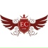 Electro City Nation