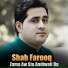 Shah Farooq