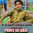 Prince Ali Khan