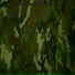 KZ