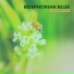 Bosphorian Blue