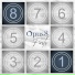 Opus 8