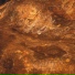 Elii Geba