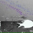 Enemy Swim
