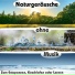 нимфы