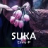 Einra-P