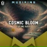Musifine