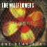 The Wallflowers