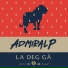 Admiral P