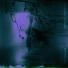 Echolom