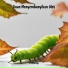 Fa Marcip