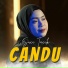 Suci Tacik