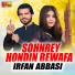 Irfan Abbasi