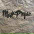 Matt Pryor