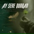 Terlan Novxanı feat. Orxan Cavadzade
