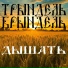 Трындель-Брындель