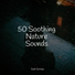 Rain Spa, Rain Sounds, Sleeping Music