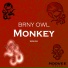 Brny Owl
