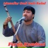 Feroz kondozi