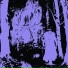 LXW VI