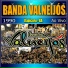 Banda Valneijós