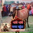 Mahavir Shami