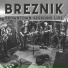 Breznik
