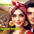 Hozan Robin