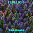 fede lion