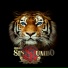 Conjunto SinRumbo