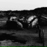 The Sludgelord