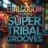 Super Tribal Grooves feat. DJ Poss