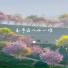 泽六