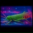 F.Cartir