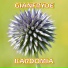 GIANFRYDE