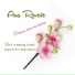 Ana Reverte