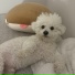 Jeewoo
