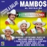 Mi Banda El Mexicano