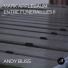 Andy Bliss