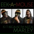 Eek-A-Mouse