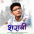 Mridul Kanwar