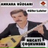 Necati Coşkunses