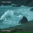Coast Walker