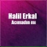 Halil Erkal