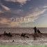 Diofel