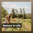 Worldwide Nature Studios