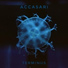 Accasari