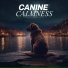 Dog Music Jukebox