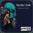 Serdar Gök