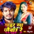 Nitu Raj